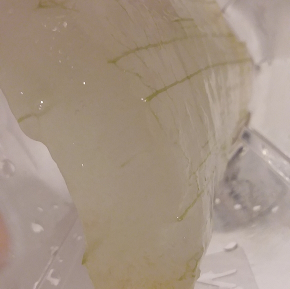 Olivera - Picture 5 of 8